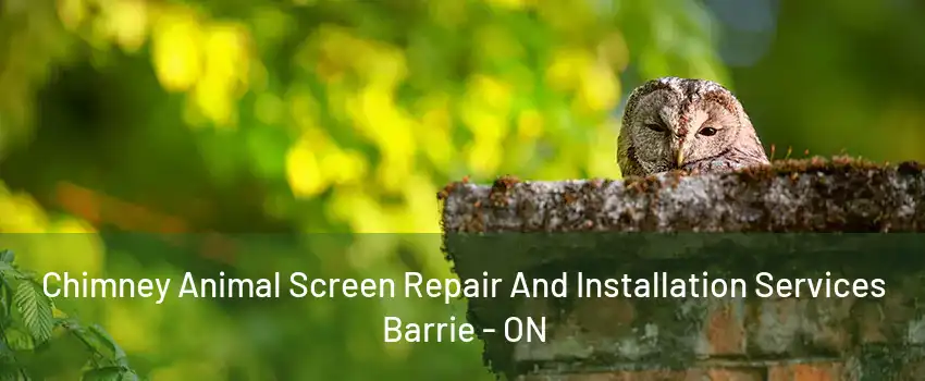 Chimney Animal Screen Repair And Installation Services Barrie - ON