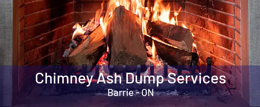 Chimney Ash Dump Services Barrie - ON