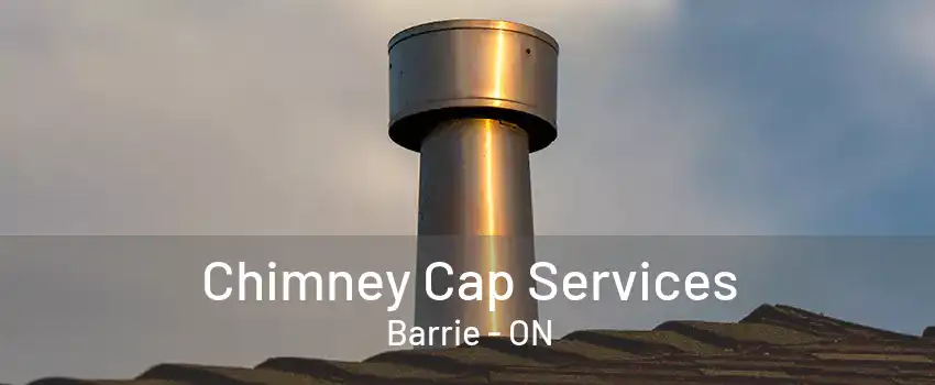 Chimney Cap Services Barrie - ON