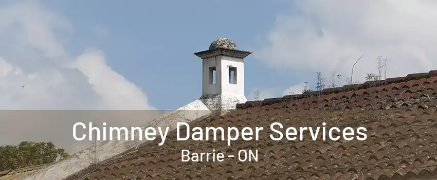 Chimney Damper Services Barrie - ON