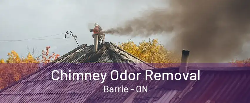 Chimney Odor Removal Barrie - ON