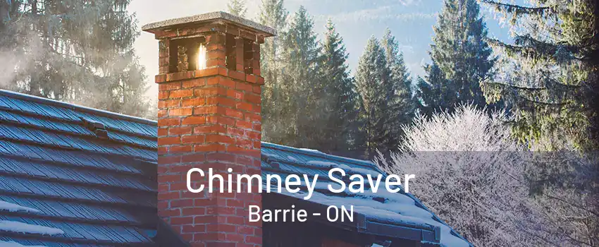 Chimney Saver Barrie - ON