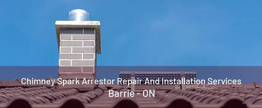 Chimney Spark Arrestor Repair And Installation Services Barrie - ON