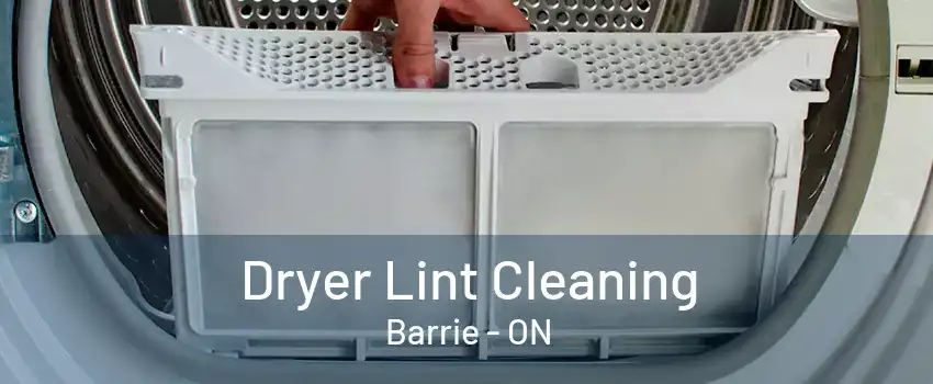 Dryer Lint Cleaning Barrie - ON