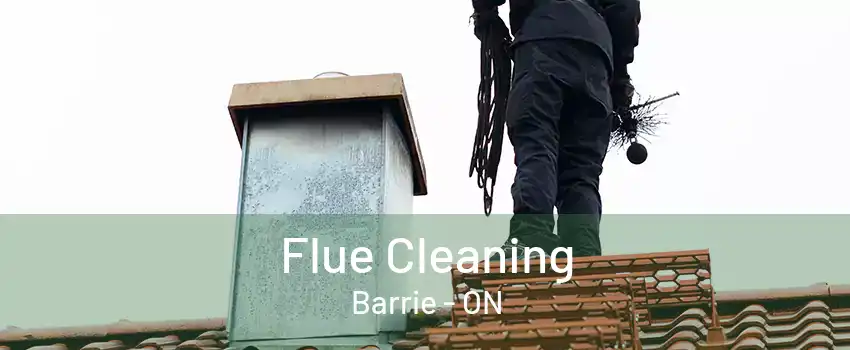 Flue Cleaning Barrie - ON