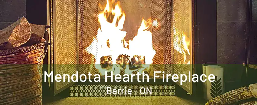 Mendota Hearth Fireplace Barrie - ON