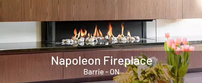 Napoleon Fireplace Barrie - ON