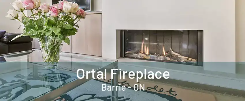 Ortal Fireplace Barrie - ON